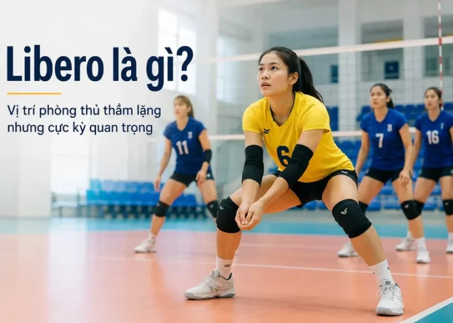 Libero là gì? Giải đáp chi tiết về vị trí libero trong bóng chuyền